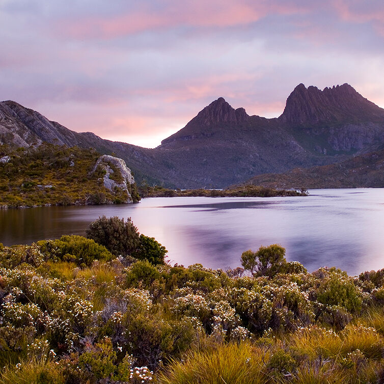 Cradle-Mountain